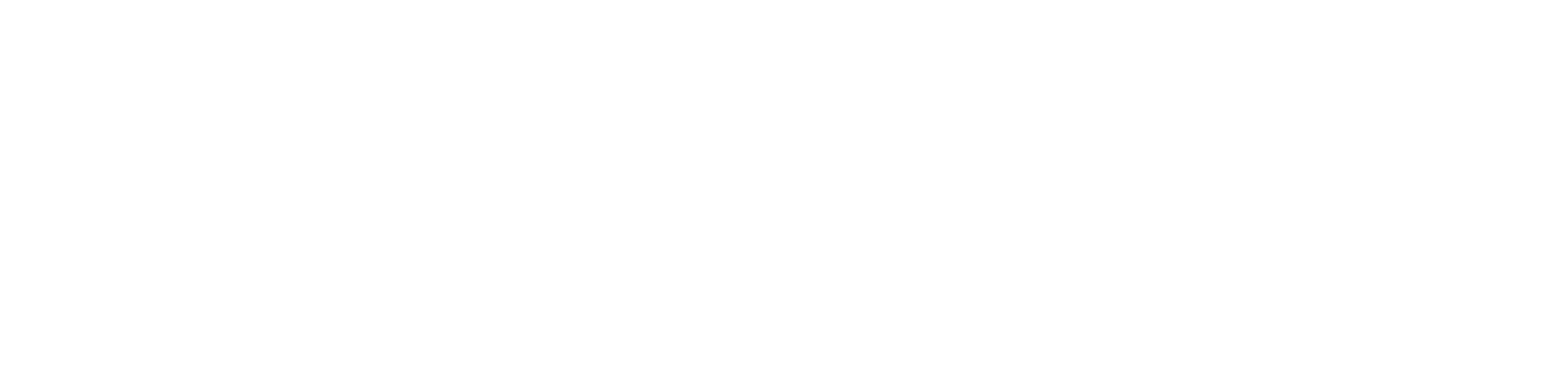 THE EUROPEAN LYMPHOMA INSTITUTE